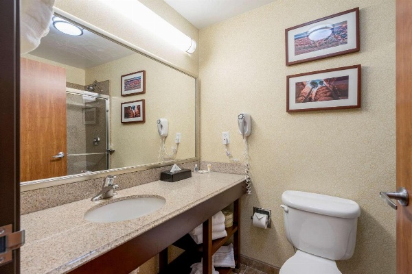 Comfort Inn And Suites Cedar City image 6